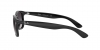 RB4202 Andy Sunglasses