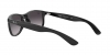 RB4202 Andy Sunglasses