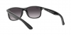 RB4202 Andy Sunglasses