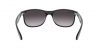 RB4202 Andy Sunglasses