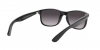 RB4202 Andy Sunglasses