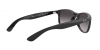 RB4202 Andy Sunglasses