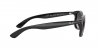 RB4202 Andy Sunglasses