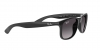 RB4202 Andy Sunglasses