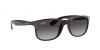 RB4202 Andy Sunglasses