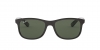 RB4202 Andy Sunglasses