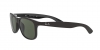 RB4202 Andy Sunglasses