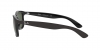 RB4202 Andy Sunglasses