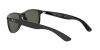 RB4202 Andy Sunglasses