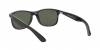 RB4202 Andy Sunglasses