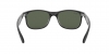RB4202 Andy Sunglasses