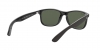 RB4202 Andy Sunglasses