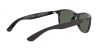RB4202 Andy Sunglasses