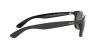 RB4202 Andy Sunglasses