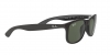 RB4202 Andy Sunglasses