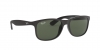 RB4202 Andy Sunglasses