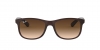 RB4202 Andy Sunglasses