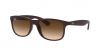 RB4202 Andy Sunglasses