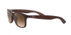 RB4202 Andy Sunglasses