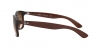 RB4202 Andy Sunglasses
