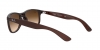 RB4202 Andy Sunglasses