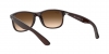 RB4202 Andy Sunglasses