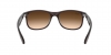 RB4202 Andy Sunglasses