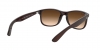 RB4202 Andy Sunglasses