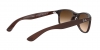 RB4202 Andy Sunglasses