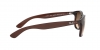 RB4202 Andy Sunglasses