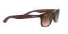 RB4202 Andy Sunglasses