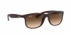 RB4202 Andy Sunglasses