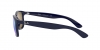 RB4202 Andy Sunglasses