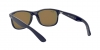 RB4202 Andy Sunglasses