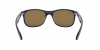 RB4202 Andy Sunglasses