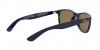 RB4202 Andy Sunglasses