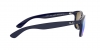 RB4202 Andy Sunglasses