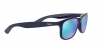 RB4202 Andy Sunglasses