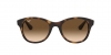 RB4202 Andy Sunglasses