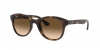 RB4202 Andy Sunglasses