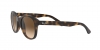 RB4202 Andy Sunglasses