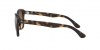 RB4202 Andy Sunglasses