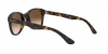 RB4202 Andy Sunglasses