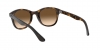 RB4202 Andy Sunglasses