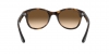RB4202 Andy Sunglasses