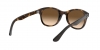 RB4202 Andy Sunglasses
