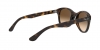 RB4202 Andy Sunglasses