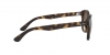 RB4202 Andy Sunglasses