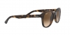 RB4202 Andy Sunglasses