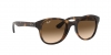 RB4202 Andy Sunglasses